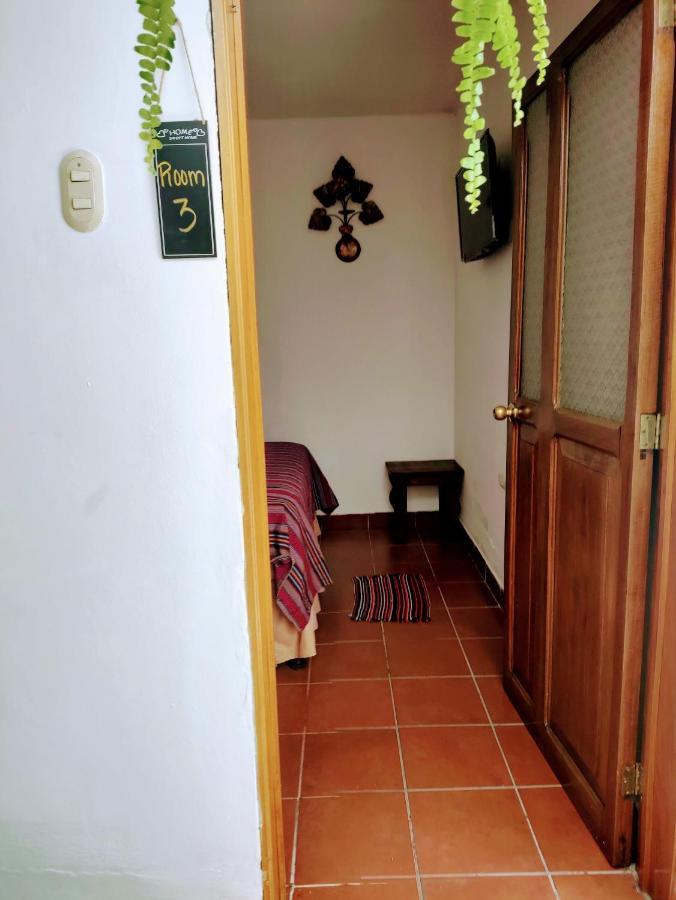 Francisco'S Rest House Hotel Antigua Dış mekan fotoğraf