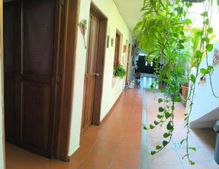 Francisco'S Rest House Hotel Antigua Dış mekan fotoğraf